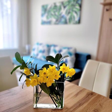 Silver Lodge Apartment 1 Эгер Экстерьер фото